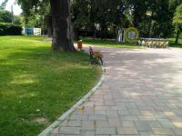 Imagine atasata: parcul copiilor13.jpg